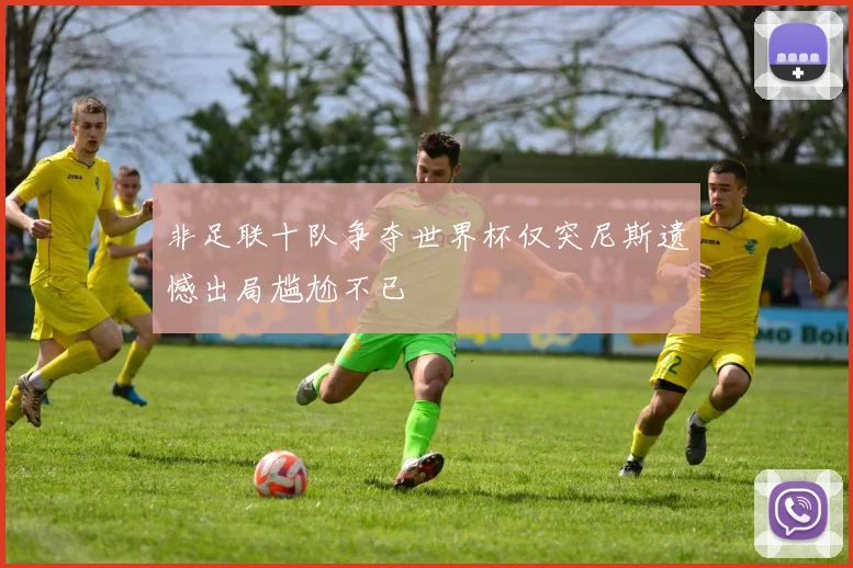 非足联十队争夺世界杯仅突尼斯遗憾出局尴尬不已