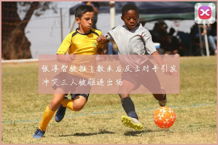 张淳智被推飞数米后反击对手引发冲突三人被驱逐出场